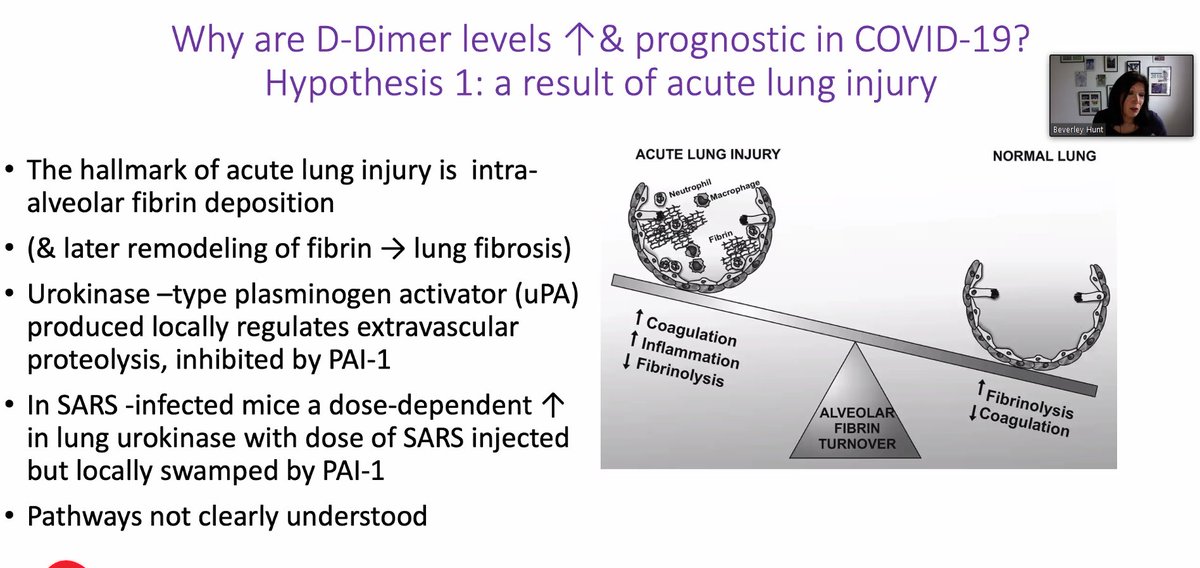 Why a rise in D-dimer in  #covid19 ?  @bhwords