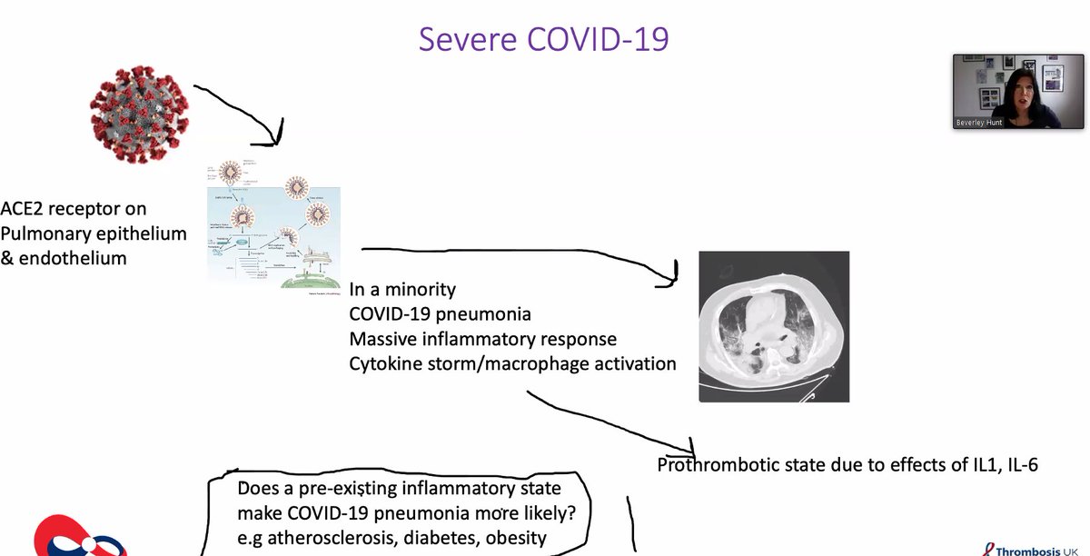 Does a pre-existing inflammatory state make  #COVID19 pneumonia more likely?  @bhwords