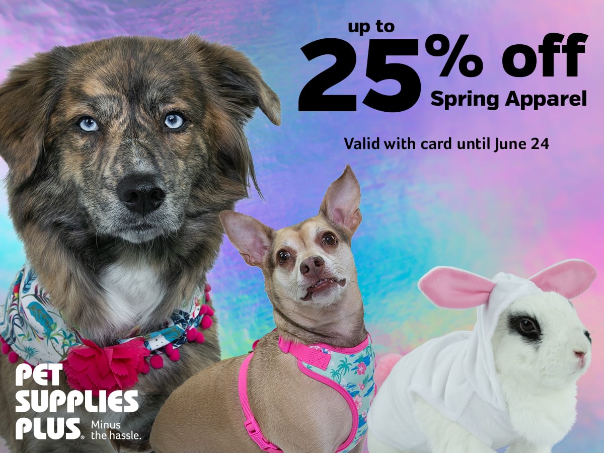 petsuppliesplus's tweet photo. Serve looks while staying home this Easter! Spring Apparel is up to 25% off! Be sure to order online and use our curbside pickup option! #petsuppliesplus #minusthehassle #springtime #Easterbest #stealsanddeals https://t.co/BntsscBiTt