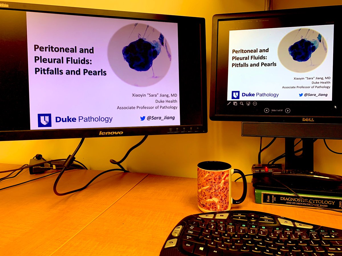 Sara_Jiang's tweet photo. Ready to go for today’s #CAPVirtualPath lecture! #VirtualPath https://t.co/PWmRd6EJDa