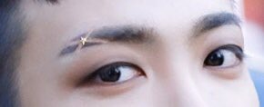 closing this thread with the ICONIC x statement brows