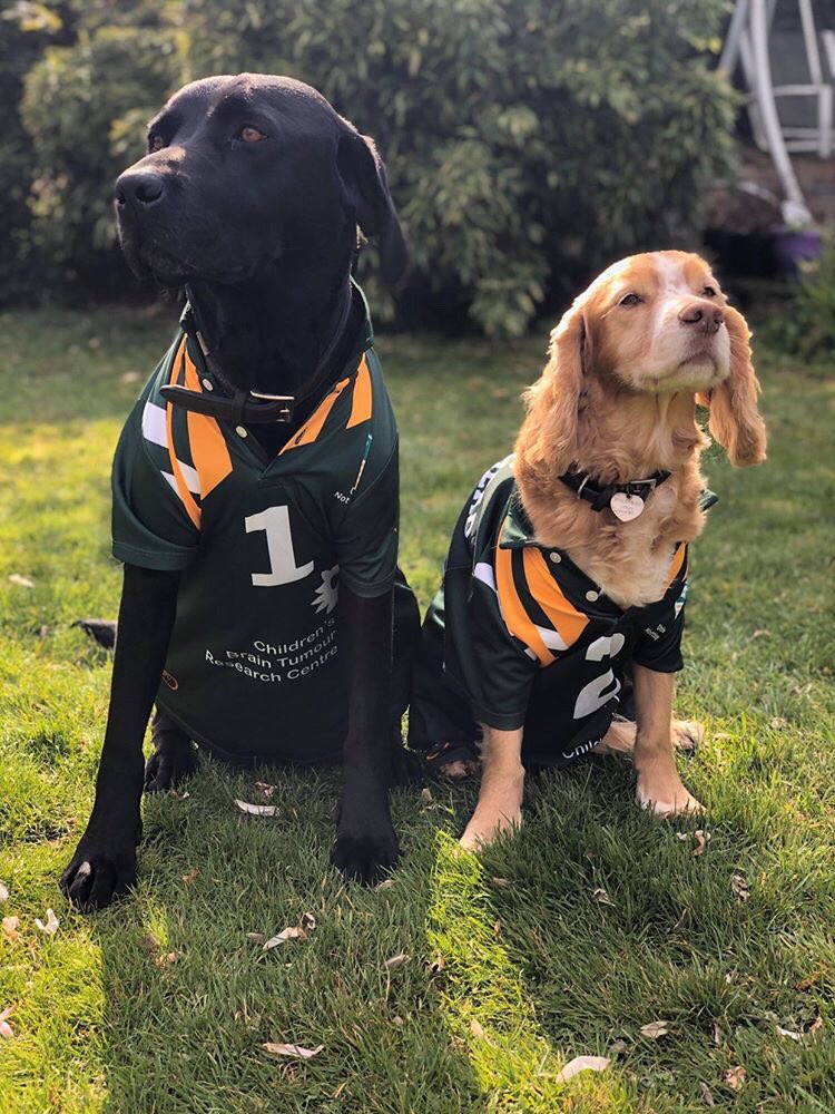 🐶| When our <a href="/UniofNottingham/">Uni of Nottingham #WeAreUoN</a> students can’t wear the #GreenandGold who better to represent <a href="/UoNSport/">University of Nottingham Sport</a> ...than their pets!

📸Thread👇🏻

💚💛 // #WeareUoN