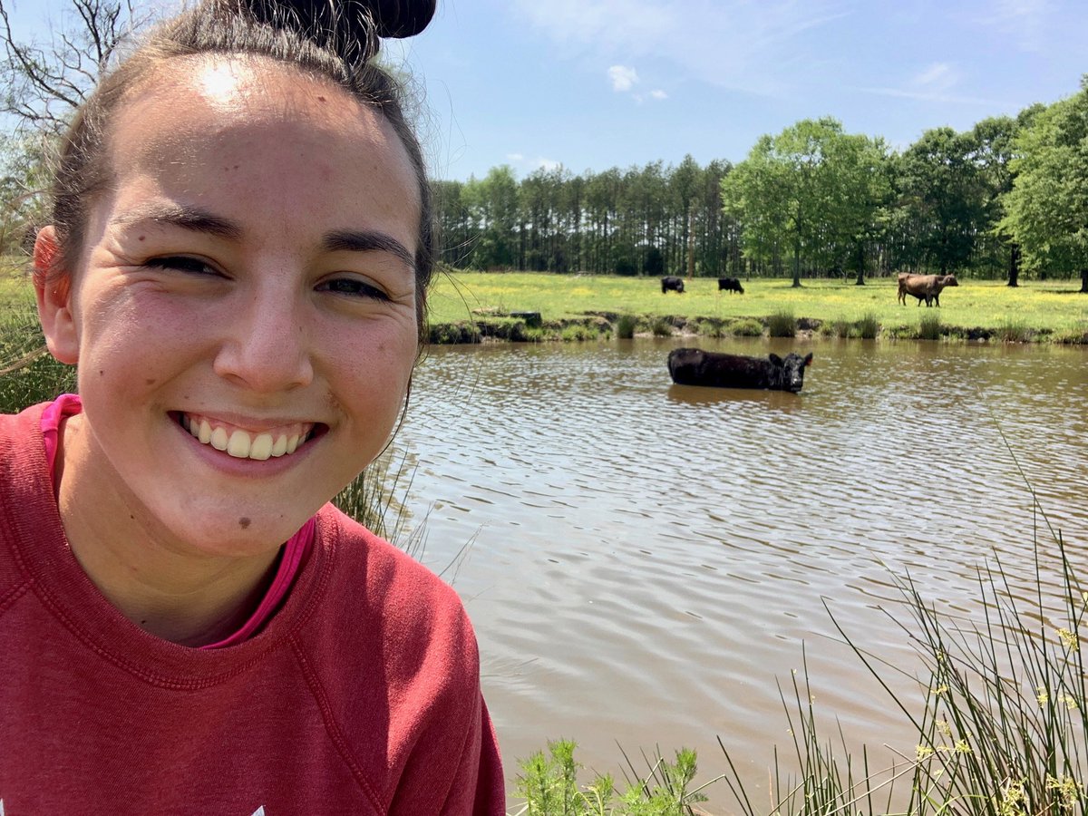 PCBOE's tweet photo. RT CentralRedDevil "Ellison Laney brought her pet cow, Tina to class today!๐ฎ๐ค Bring your pet to school day #PCSSpiritWeek https://t.co/MYA622B57p"