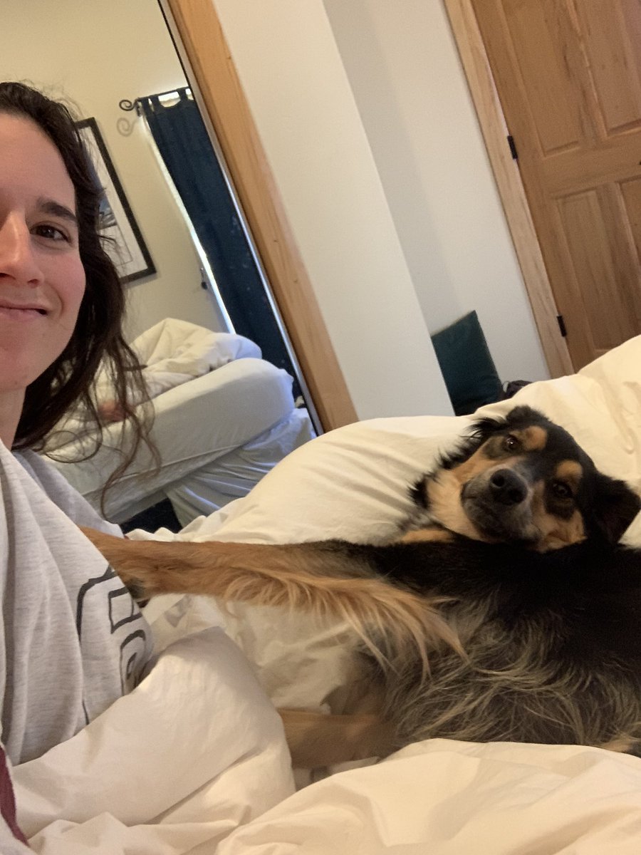 donque789's tweet photo. My dog is taking social distancing way too seriously https://t.co/P2qlY0bgLV