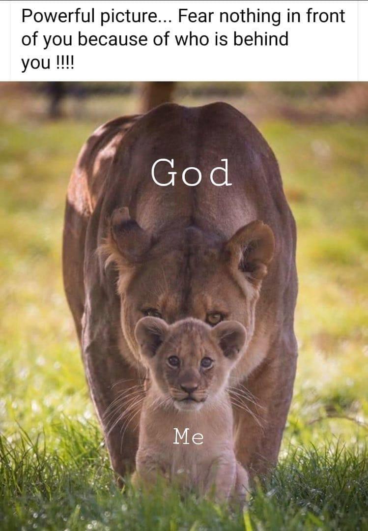 livechristian1's tweet photo. With God behind you, you can accomplish anything. https://t.co/Va5LulYmeq