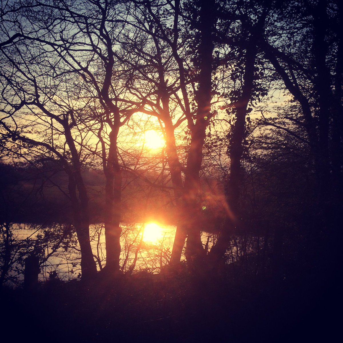 Day 17 of lockdown and I’m grateful for the beautiful sunsets we’ve been having (and the amazing full moon)
#lockdown #day17 #grateful #sunset #nature