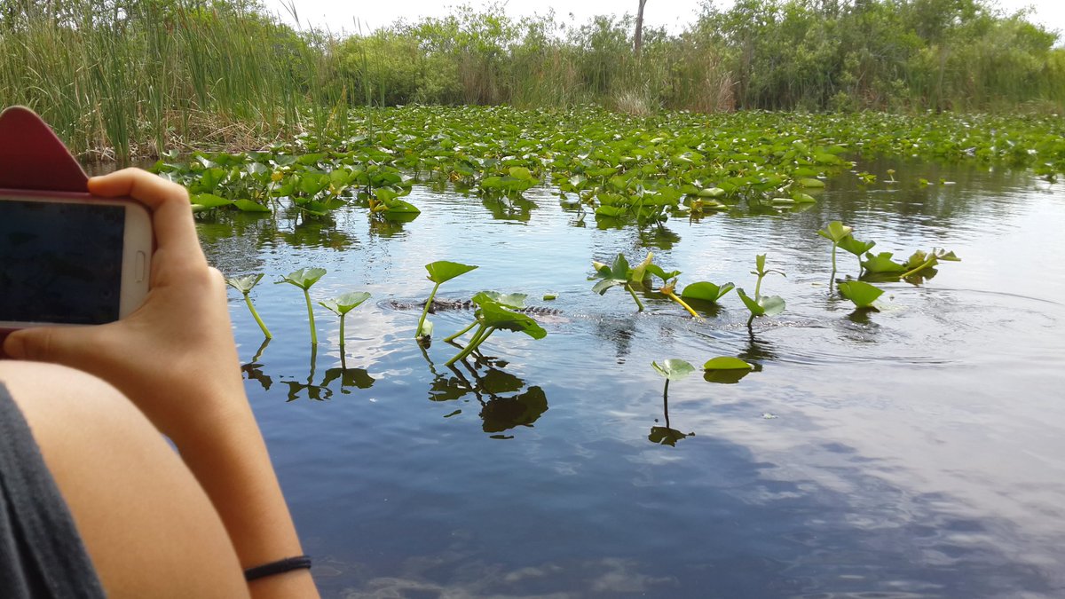 Everglades Holiday Park, home of The Gator Boys. Didn't travel far for this one - like a 20 minute drive.