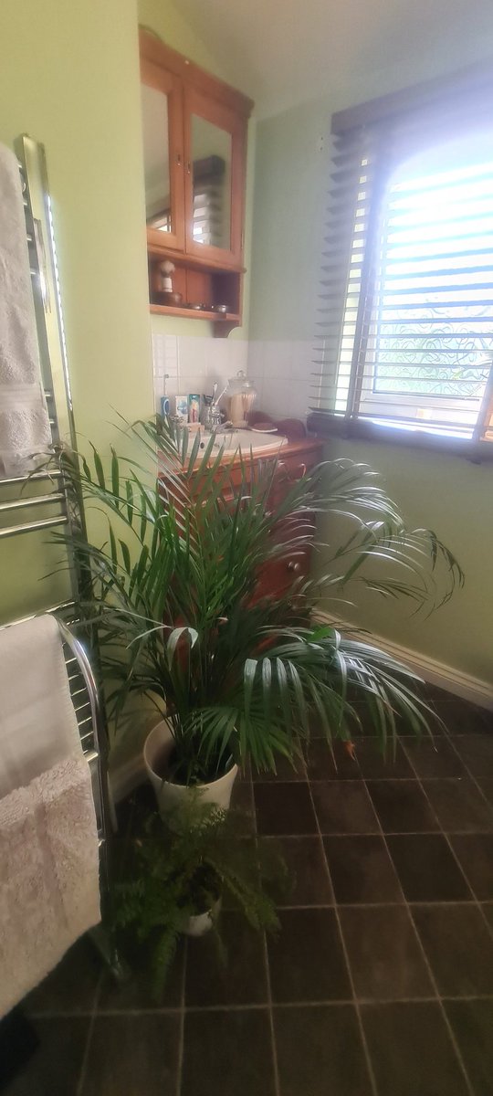 Another day of creativity!! Updated the bathroom washstand... stained and silver painted knobs, I think I'm finally happy with our bathroom!