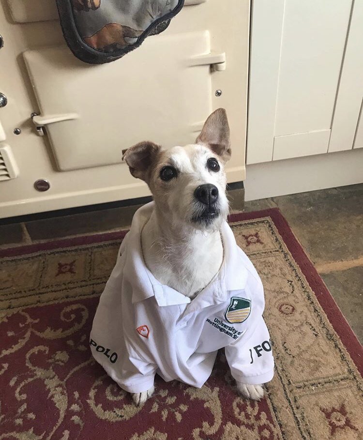 📸 Looks like <a href="/UoNPolo/">💚💛 UoN Polo Club 💚💛</a> will be temporarily handing over all committee duties over to this smart young fellow.

💚💛