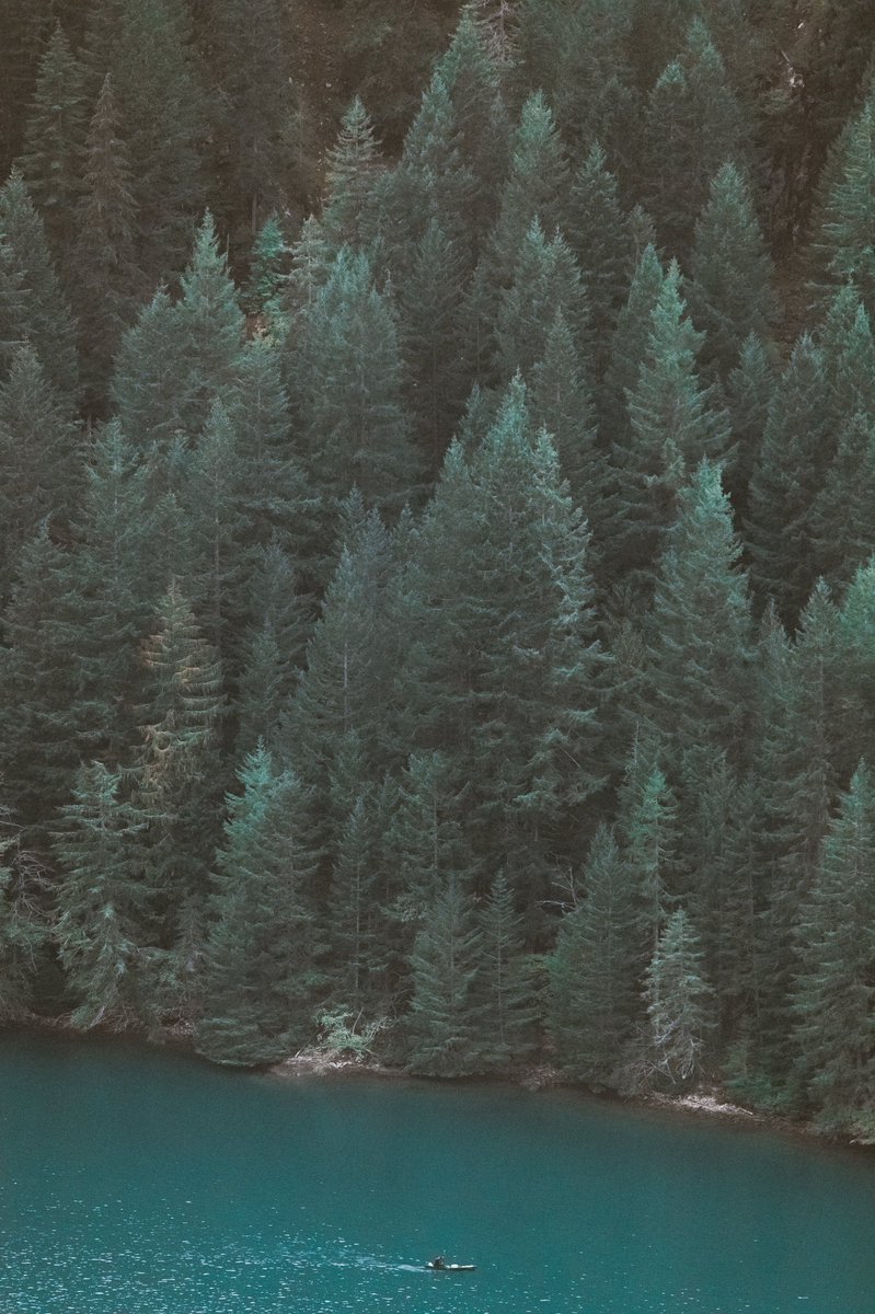 briscoepark's tweet image. Photos I took in the Pacific Northwest