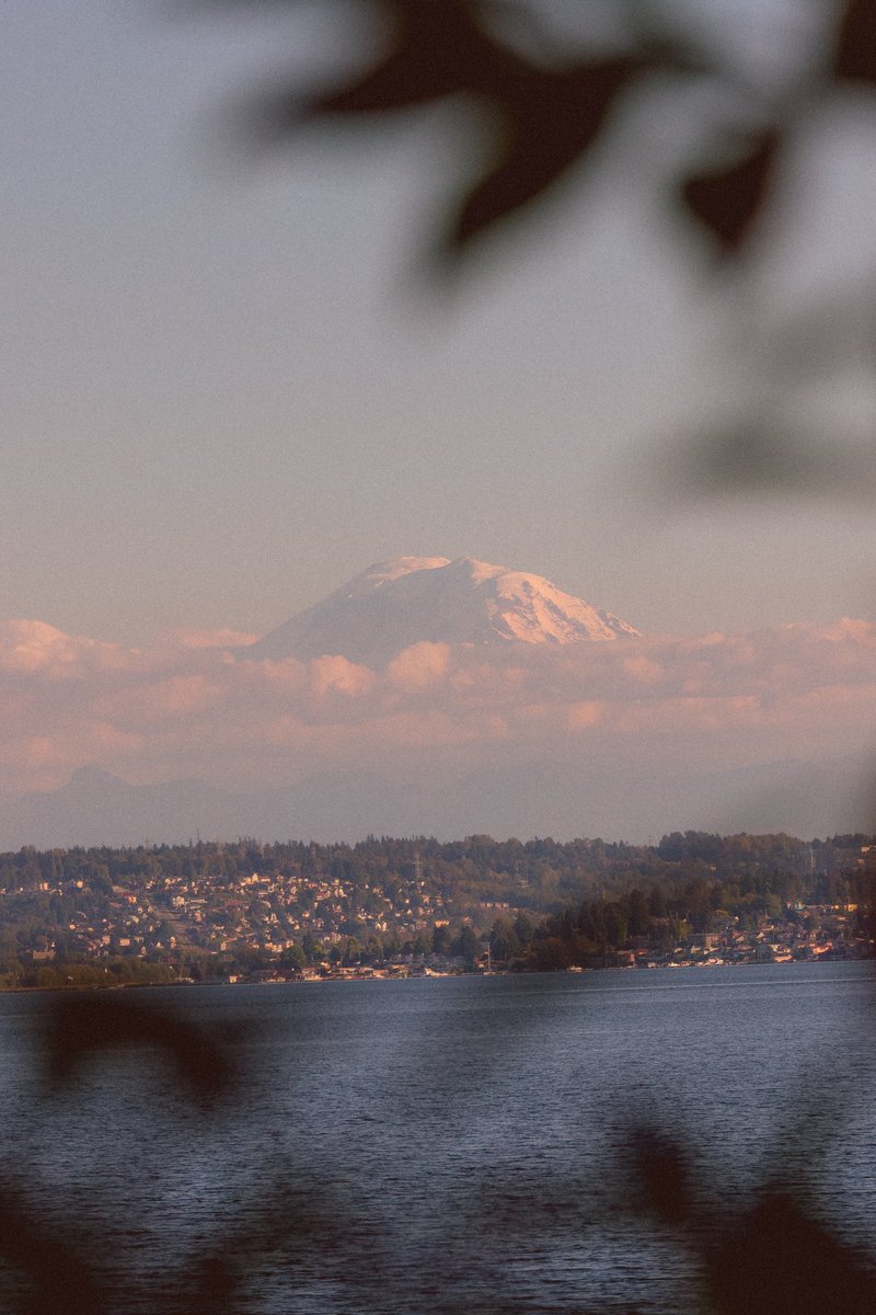 briscoepark's tweet image. Photos I took in the Pacific Northwest