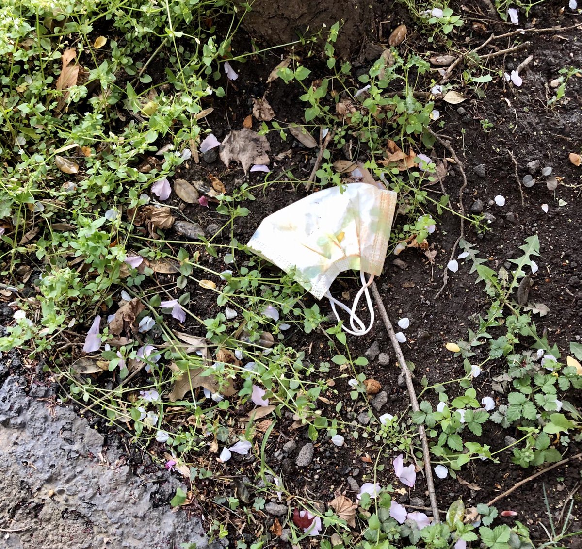 We need to educate the public on disposing masks 😷 You collect germs and then toss it just like that for other people to deal with? Or for wind to pick it up and blow into someone’s face? Spotted on the street today, had to put on gloves and dispose properly #COVID19 <a href="/CDCgov/">CDC</a>