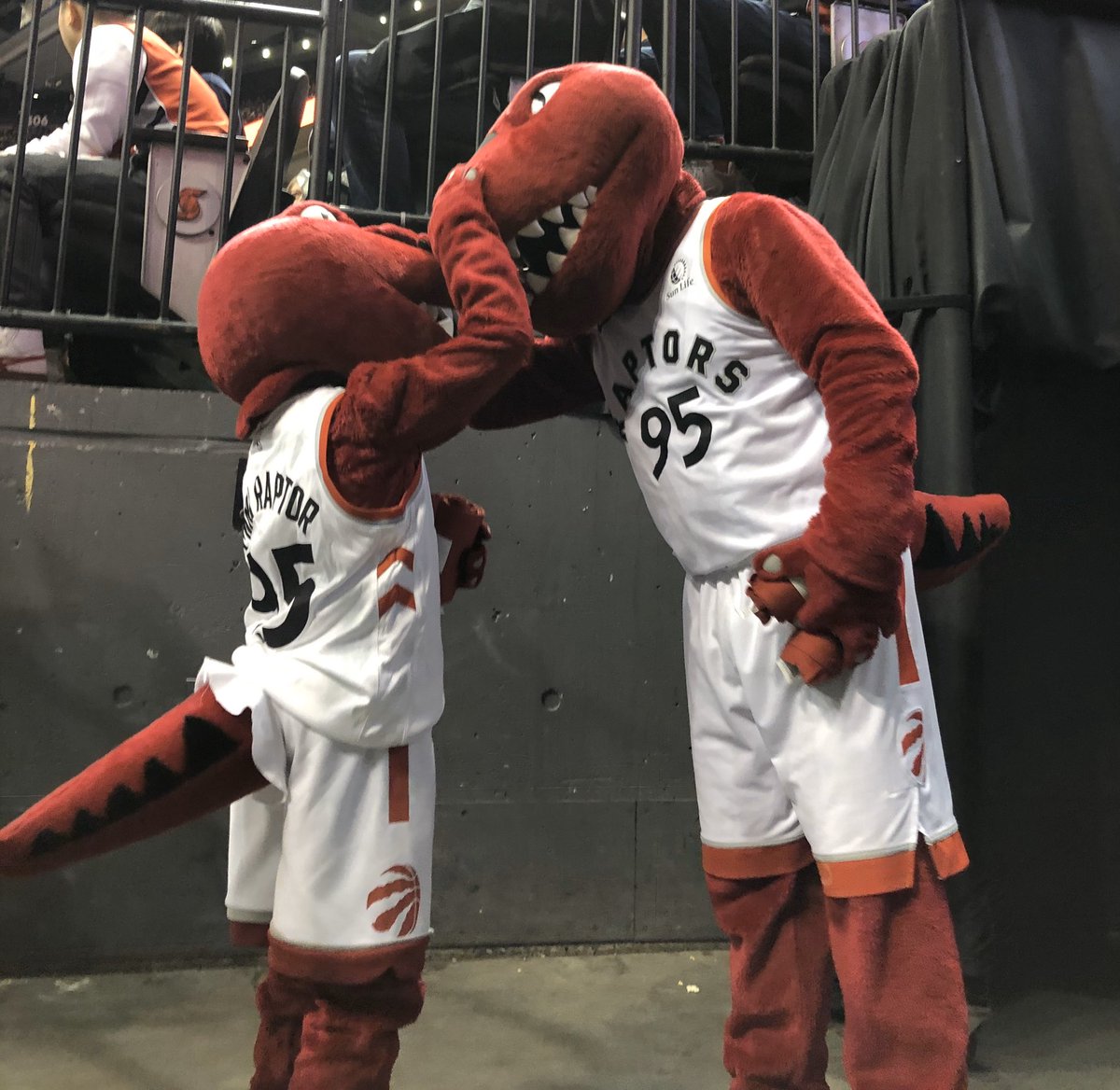 the_raptor's tweet photo. Just some #Tbt photos! @raptors #25YearsInPhotos #WeTheNorth https://t.co/udgqxrv7vU