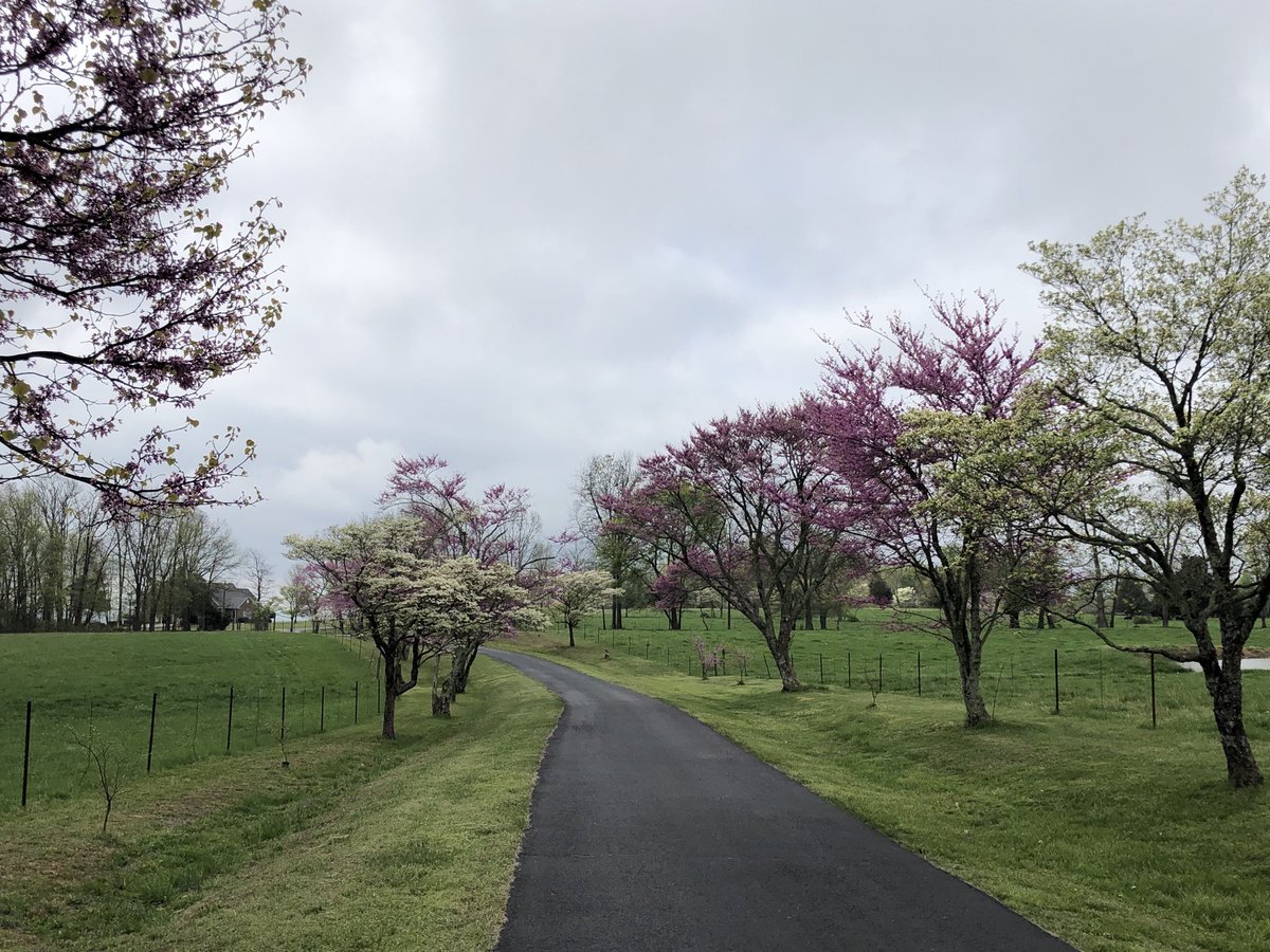 sanditrac's tweet image. Spring!!