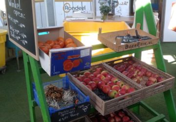 rondeeleieren.nl/winkel-in-mini…
#CoronaCrisis #zorgboerderij