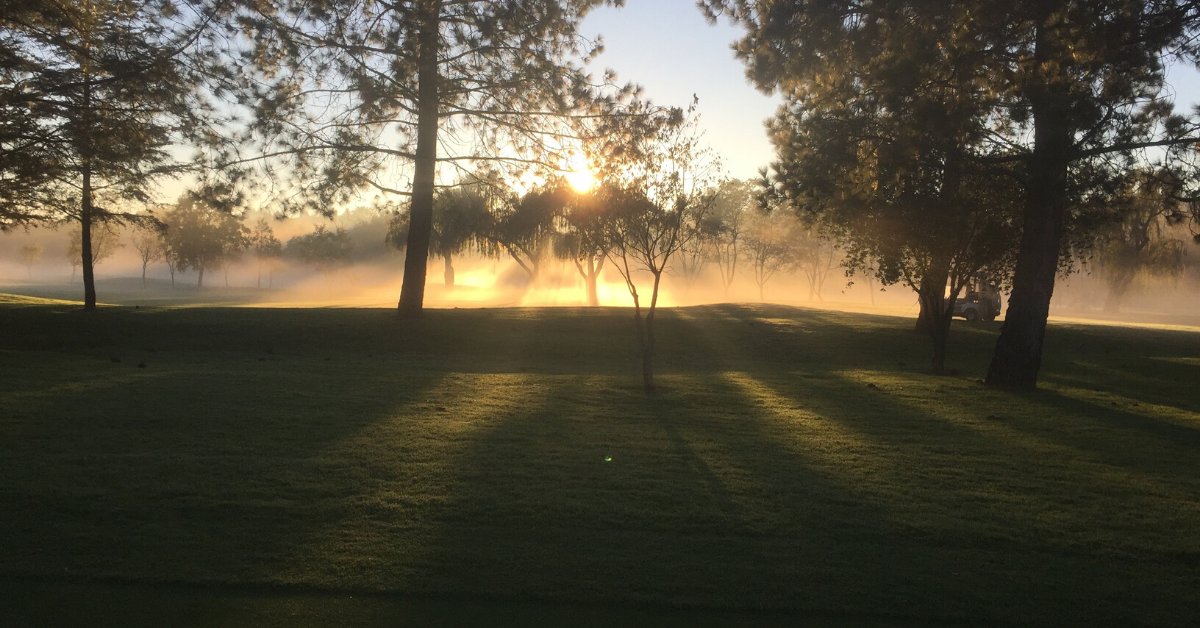 RandparkGolf's tweet image. The different moods of #Firethorn