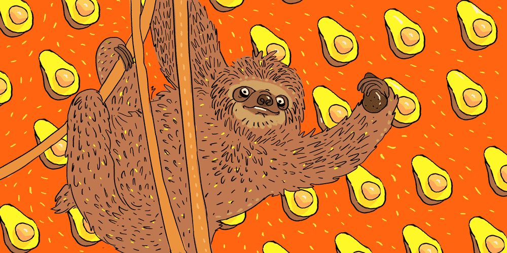 Giant sloths are the reason we have avocados! https://bit.ly/39Tuhso  Giant sloths, and other megafauna ate whole avocados and spread seeds via poop all over South America. It was a good deal likely resulting in avocados being fatty and large-pitted, to attract huge sloths!