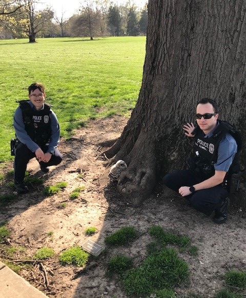 kcpolice's tweet photo. Officers Powell &amp; Kelloff were patrolling on foot in Loose Park yesterday when they saw this baby owl stuck on the ground next to a tree. They called @KCMO Animal Health &amp; Safety, which transported the little one to Lakeside Nature Center. https://t.co/dKfQFbjGjN