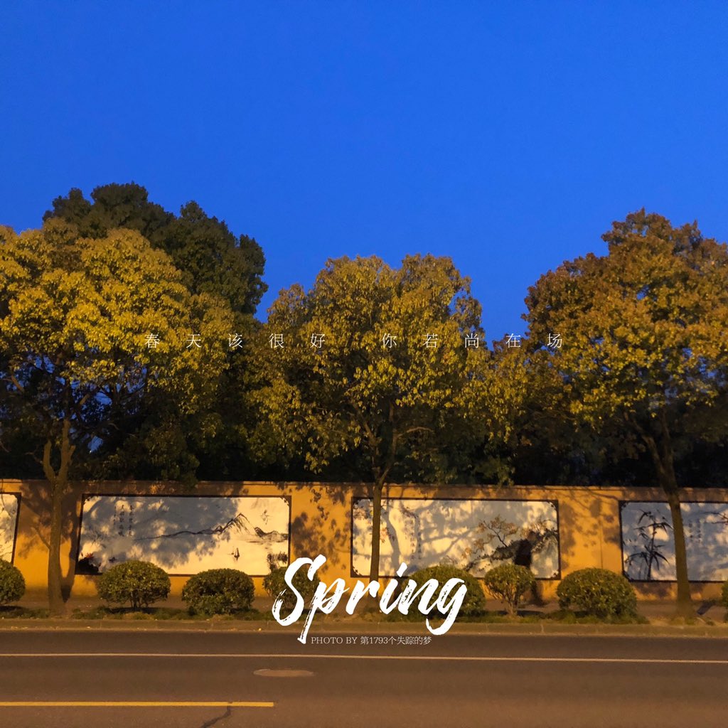 Flora2020730's tweet photo. Night.#Shanghai https://t.co/TMTXbEAhwL