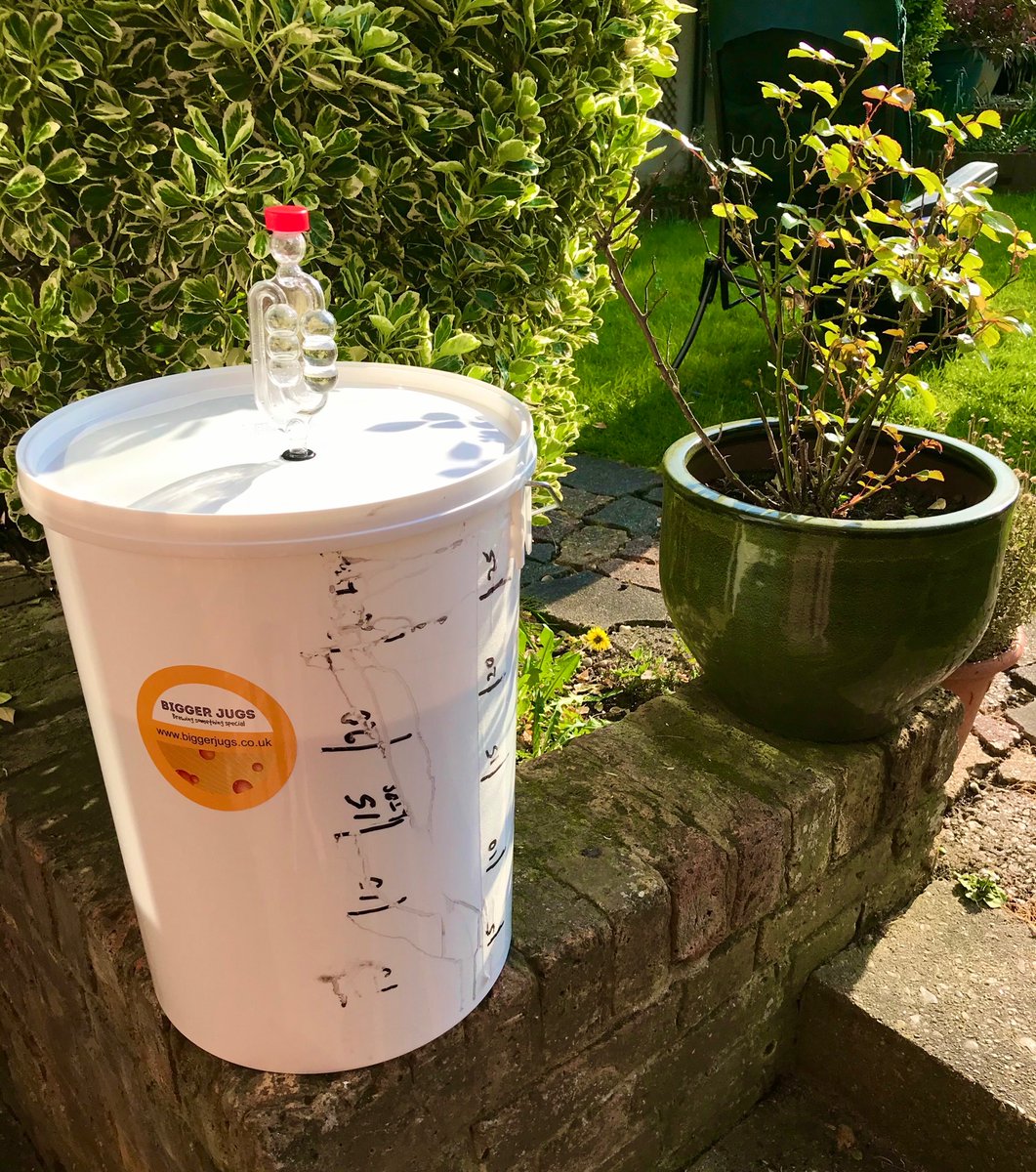 Corona Lockdown Day 17 • Helder HQ 🏠 
Status: 
My dad has started brewing his own wine. Make of this what you will. 🤔🍷🍾

#CoronaLockdown #CoronaUK #LockdownActivities #LockdownDrinking #Winemaking #VirtualVineyard