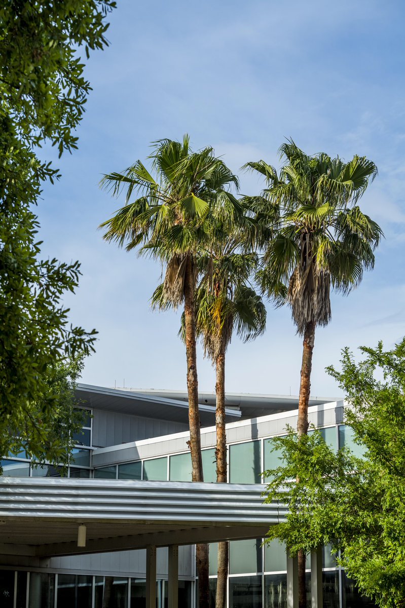 University of New Orleans tweet media