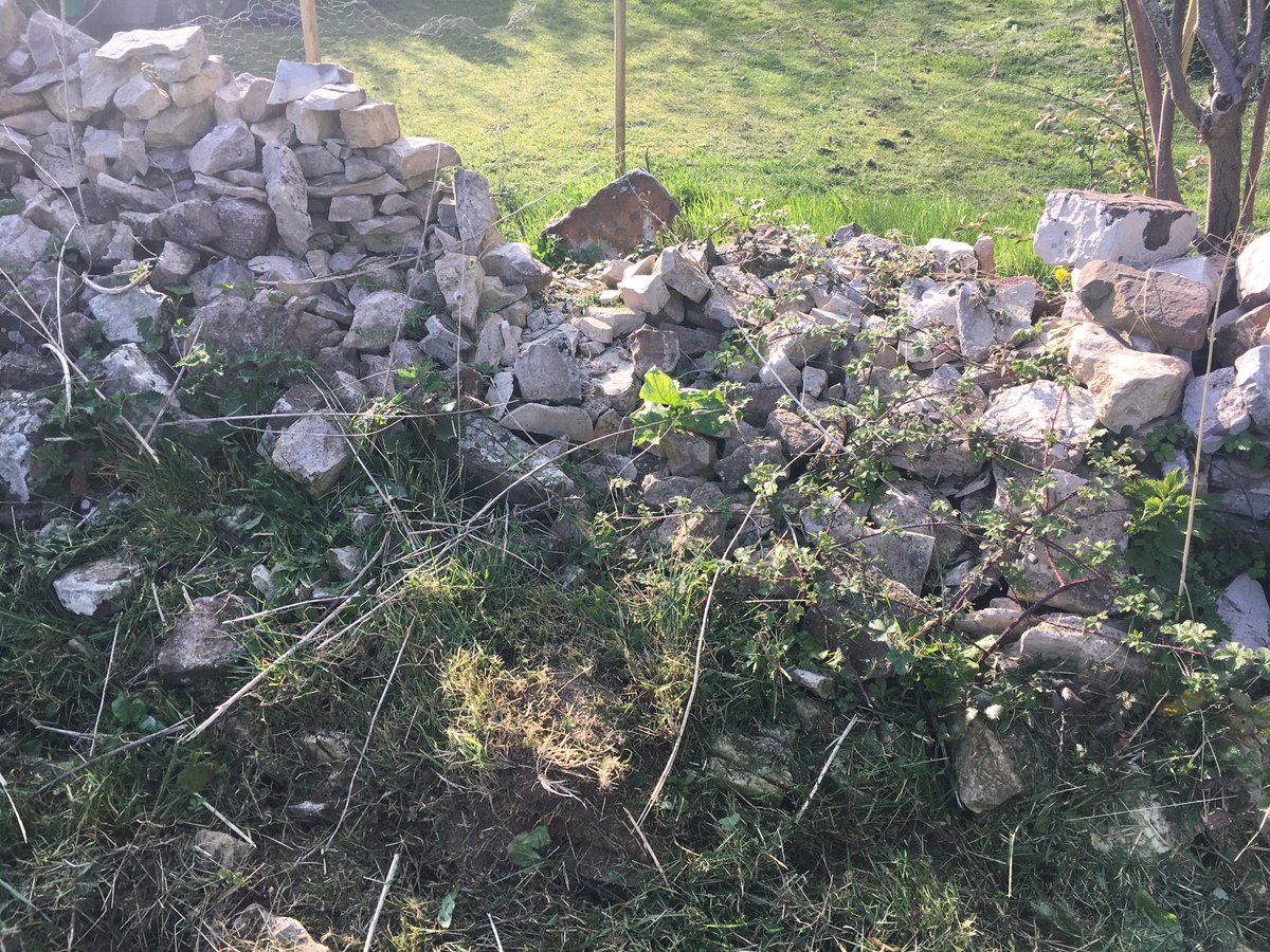 Project: rebuild a collapsed dry stone wall. My first go-will post pic of the result.