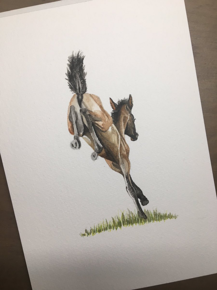 ‘Hop, skip and a buck’ is finished 😊 A5 water colour, funny how some are easier to name than others? #watercolourpainting #foals #horses #babyhorse #Sennelier #windsor&Newton #equineart #equineartist #horseart