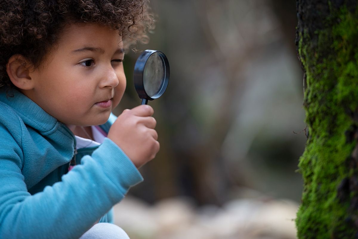 ibpyp's tweet photo. We put together some resources and templates to help #IBPYP schools AND families navigate remote learning and play. Have a look! https://t.co/JuESPqci2X https://t.co/EcgAHTH93f