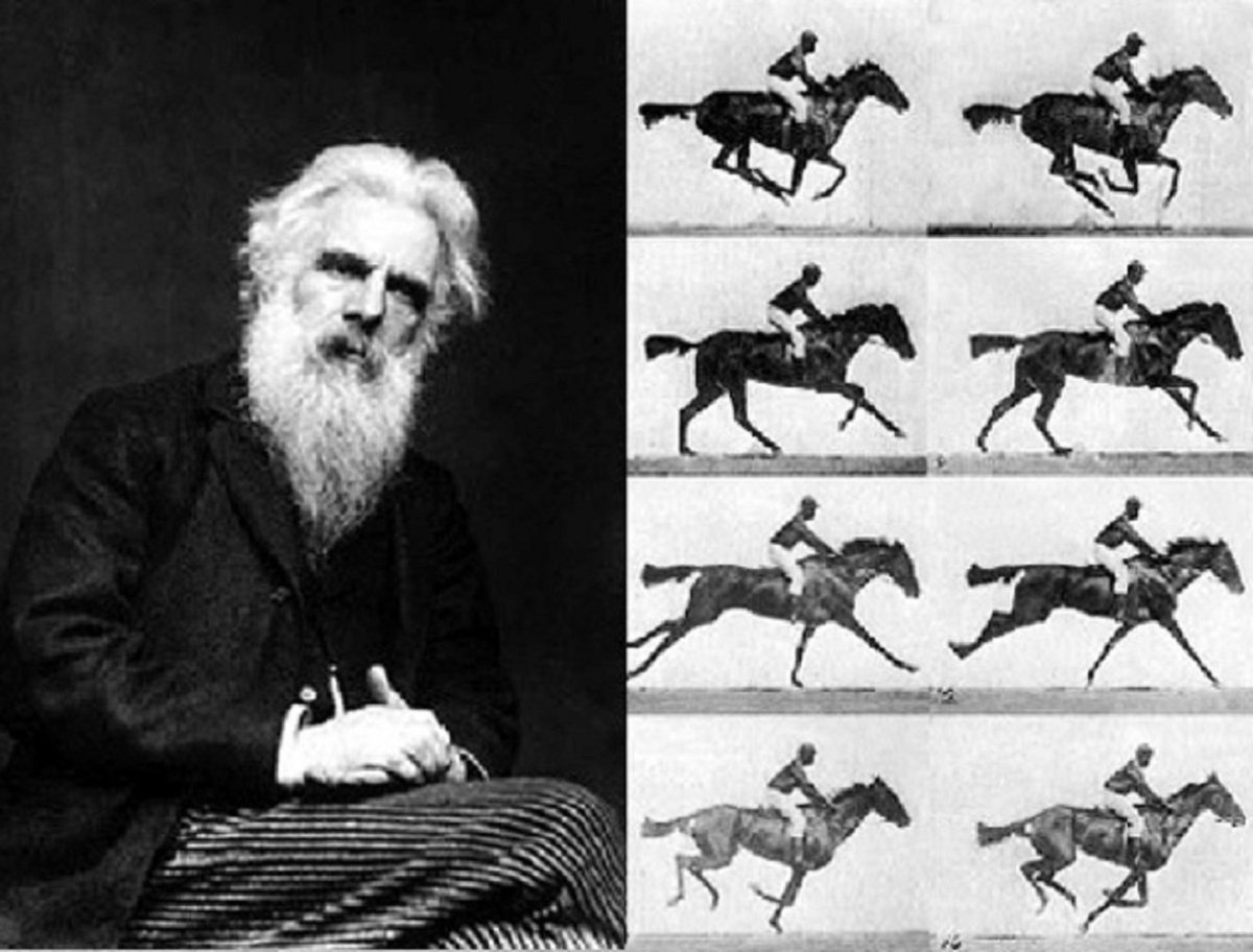 ট ইট র Nave 写真家エドワード マイブリッジ 10 1904 は今年4月9日で生誕190年 1878年 疾走する馬の連続撮影に初成功した T Co Innafbuduw 彼の連続写真を基にした ズープラクシスコープ に触発され トーマス エジソンは映写機キネトスコープ ট ইট র Nave 写真家エドワード マイブリッジ 10 1904 は今年4月9日で生誕190年 1878年 疾走する馬の連続撮影に初成功した T Co Innafbuduw 彼の連続写真を基にした ズープラクシスコープ に触発され トーマス エジソンは映写機キネトスコープ