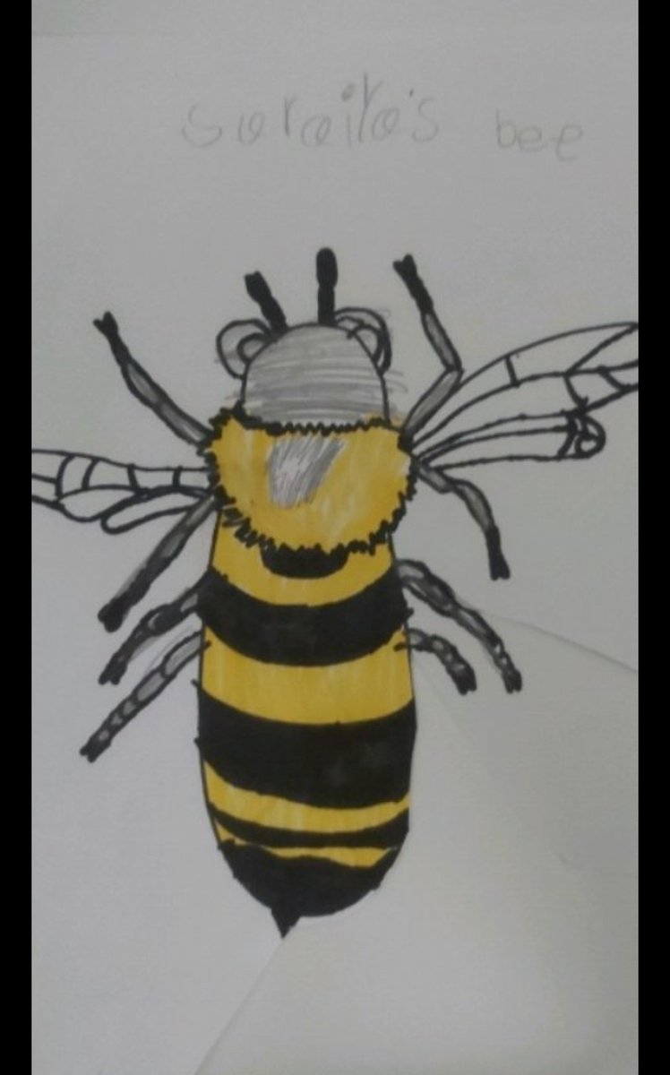 MrsGrantKinder's tweet photo. My favorite assignment of the week!!! Shout out to Mrs. Barnes!! Love the way she made this directed drawing purposeful and meaningful for our students during this insect study. #MooreAtHome #wsfcslearnon @smgaillard  @TFullerwinder https://t.co/o1sD7BnGwc
