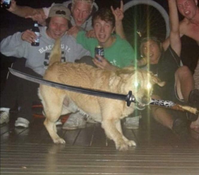 When you binge watch anime for the first time