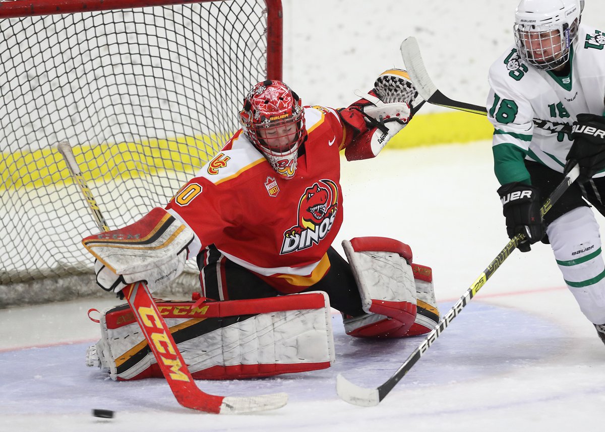 UCDinos's tweet photo. The 2019-20 Dr. Dennis Kadatz Female Athlete of the Year is @DinosWHKY's Kelsey Roberts!

🍁 @USPORTSca 1st Team All-Canadian
⭐️ @CanadaWest Player of the Year
⭐️ @CanadaWest 1st Team All-Star

📰 https://t.co/kPcBMd422W

#GoDinos https://t.co/Js5Ra41DC3