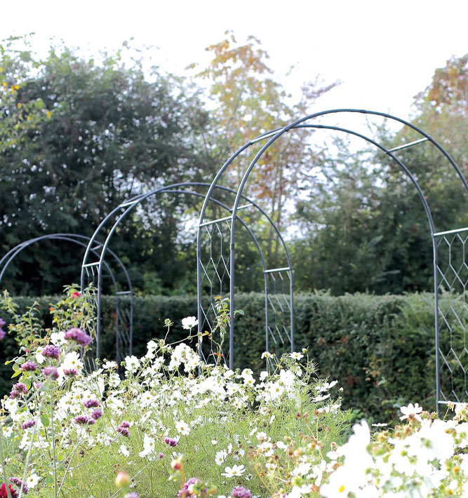 A garden arch is perfect for creating a striking entrance to a path or as a beautiful climbing plant feature 🌻

Free shipping on orders over £50 when you sign up to Agriframes Garden Rewards ✉️

#AgriframesStyle