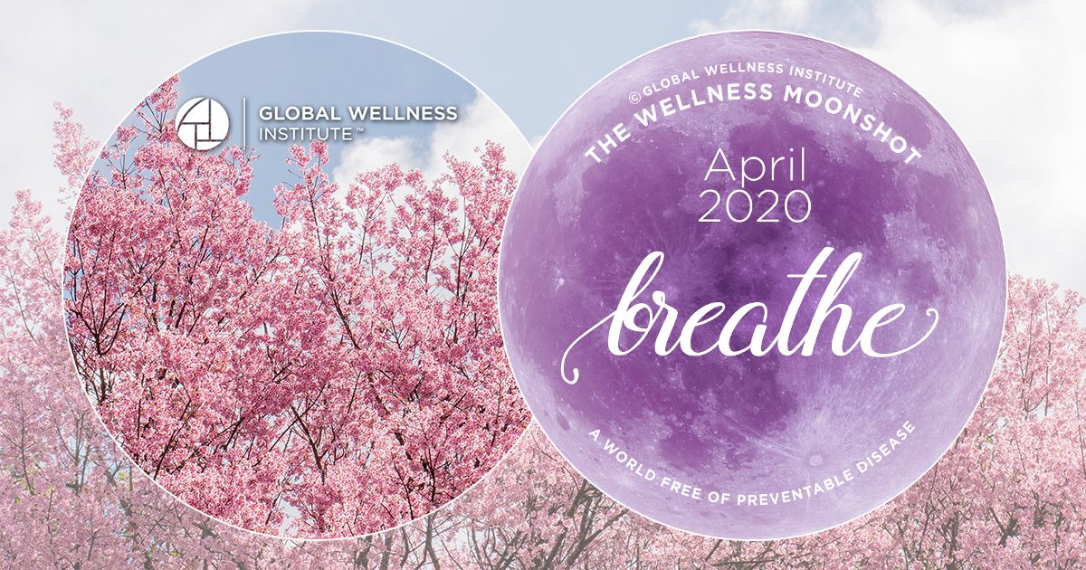 SpaWellMex's tweet photo. #Breathe: a daily #wellness ritual for inner balance & wellbeing
https://t.co/aKf57hsndd
#spa #bienestar #wellnessmoonshot #aprilmoonshot #wellnesscomunity @Global_GWI #wellnessritual #ritualdebienestar #wellbeing
Read #SpaWellnessMexiCaribe
https://t.co/1NMf7YKMKe https://t.co/854CpJMepA