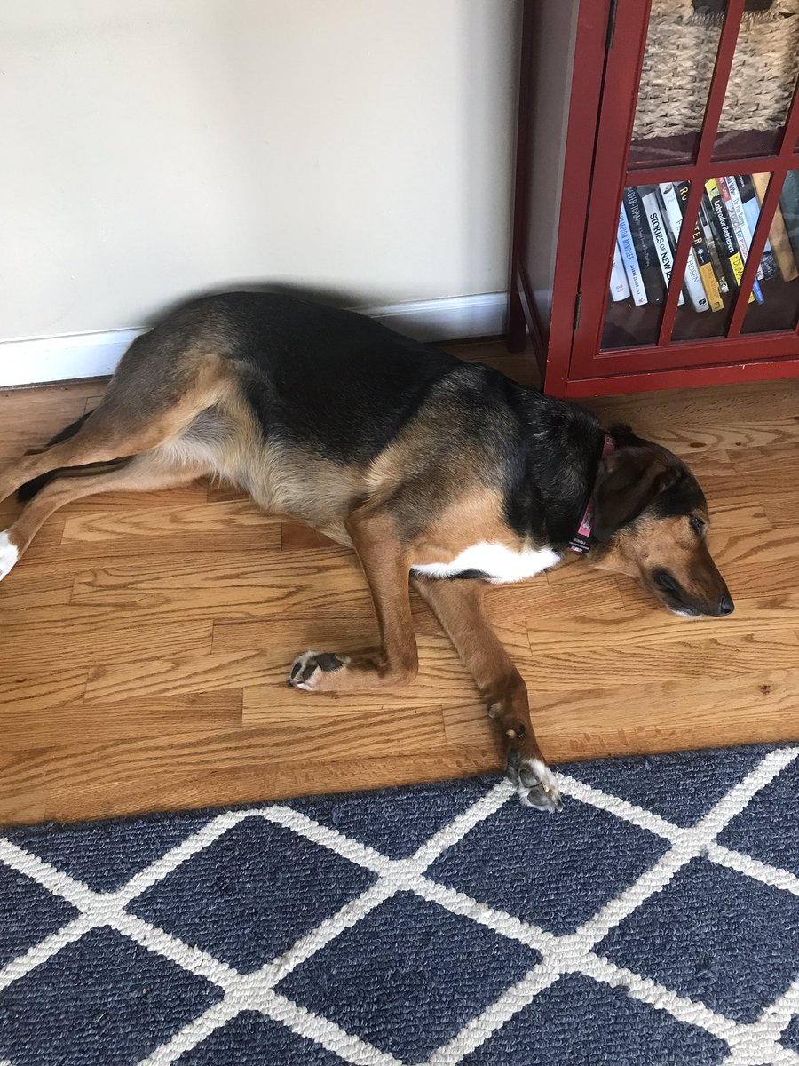 tcnjxctrack's tweet photo. You did it! You helped us win the TCNJ Athletics Twitter tournament! Thank you for your help, and here’s a pic of how exhausted our helpers are https://t.co/fTFwZqcEBI