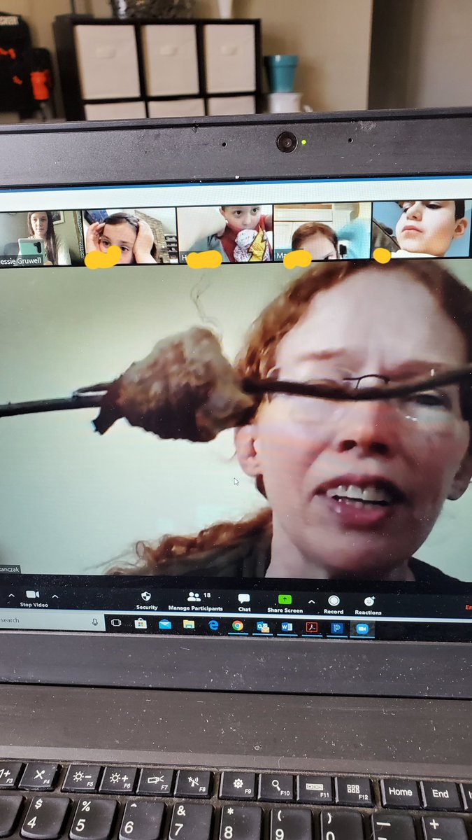 DRESGruwellJess's tweet photo. We had science with Mrs. Stanczak today. We discussed living things and their life cycles. First we saw eggs in an incubator. Then, live chicks. Next, she showed us a praying mantis egg sac and what an adult will look like. We will watch the eggs over the next few weeks! https://t.co/681UdIg3H0