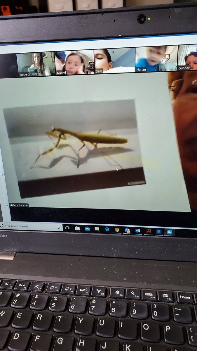 DRESGruwellJess's tweet photo. We had science with Mrs. Stanczak today. We discussed living things and their life cycles. First we saw eggs in an incubator. Then, live chicks. Next, she showed us a praying mantis egg sac and what an adult will look like. We will watch the eggs over the next few weeks! https://t.co/681UdIg3H0