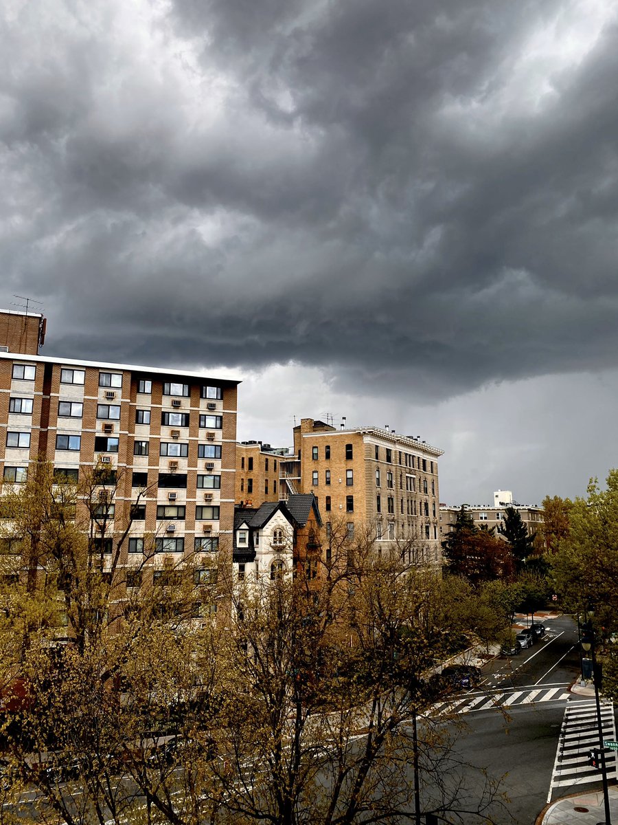 tweedelman's tweet photo. Welp, that escalated quickly 😳@WTOP @nbcwashington https://t.co/qWLhasgSG8