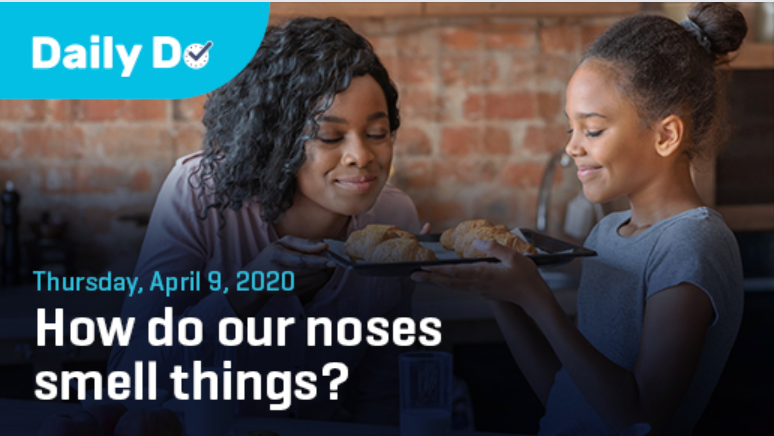 I am really excited about the <a href="/NSTA/">National Science Teaching Association</a> #DailyDo for FAMILIES-- the Dinner Table Discussion (DTD) - Check out the first in this new #DailyDO series "How do our noses smell things?" #NSTA20 #SciEd #parents #NGSSchat #satchat