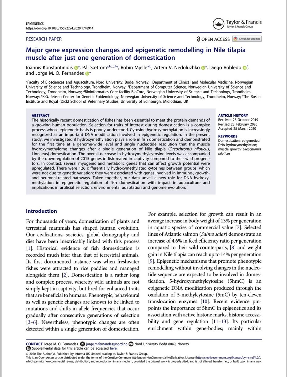 Megan Konstantinidou tweet media