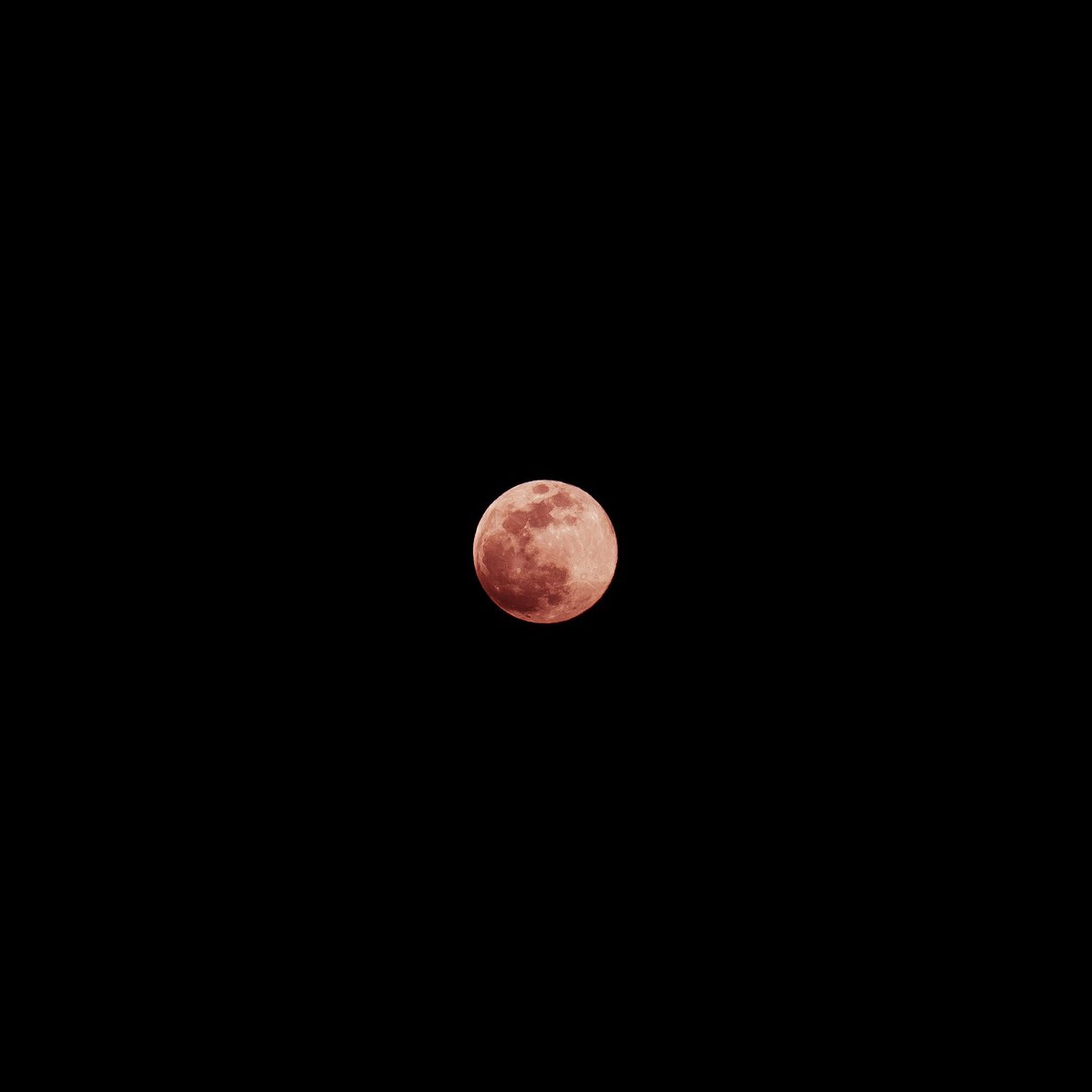 earth's tweet photo. Pink Super Moon — April 7, 2020 https://t.co/TH9Bnrc55U