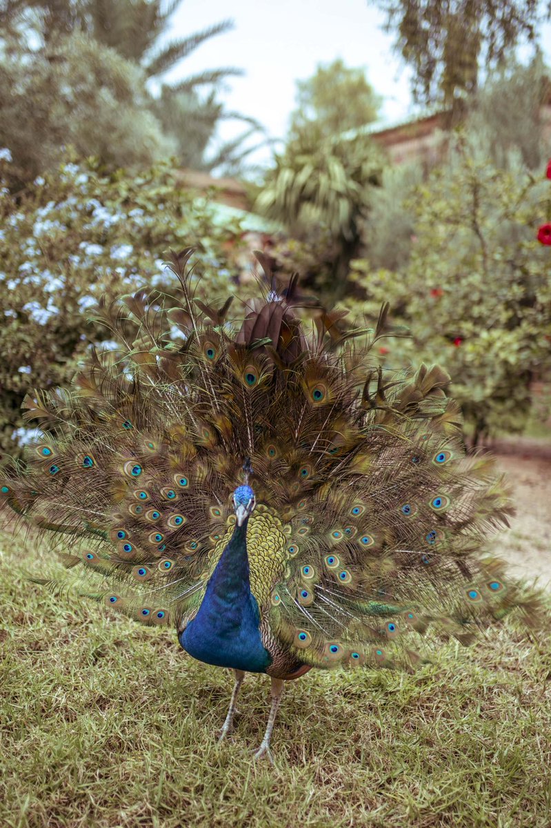 Wishing all of you a peaceful #Easter weekend filled with love, joy and good health!