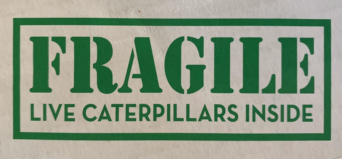 Things are about to get real interesting in the Byam household!! <a href="/SmokyRow1/">Smoky Row Elementary</a> #smokyrowathome #ccsgoesvirtual