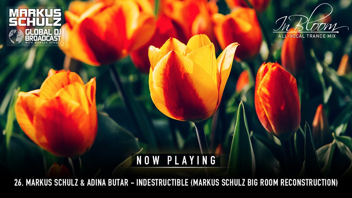 26. Markus Schulz &amp; <a href="/AdinaButar/">Adina Butar</a> - Indestructible (Markus Schulz Big Room Reconstruction) #gdjb #inbloom

twitch.tv/markusschulzof…