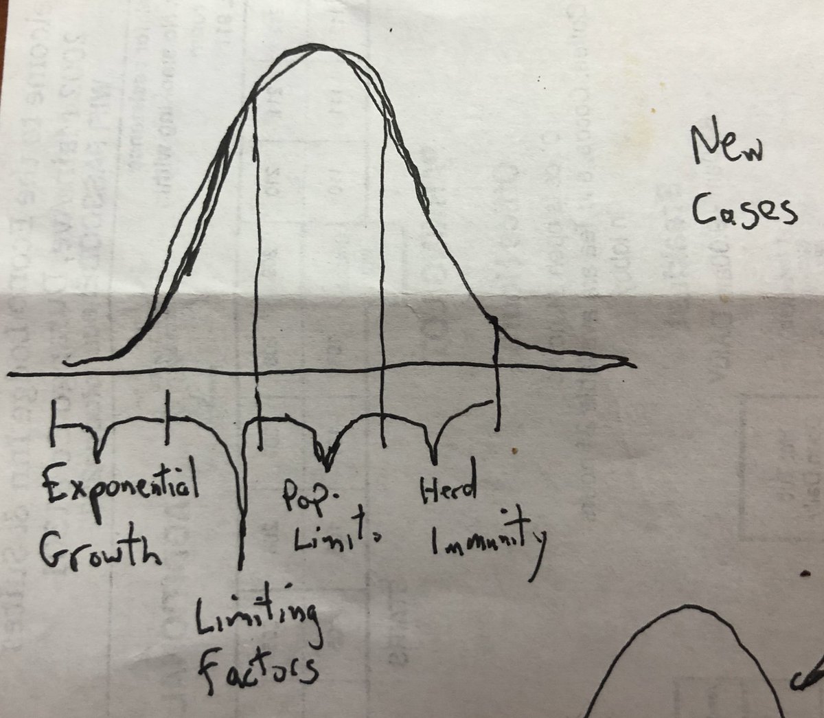 This is where the bell curve comes in. Bell curve is number of new cases, which is the change in total cases over the previous time period. Let’s examine it.