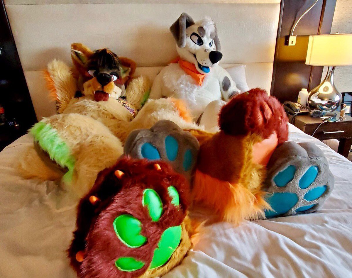 AphexMutt's tweet photo. @saltmutt Our paws will meet again! 🐾 https://t.co/m3eAE12GUO