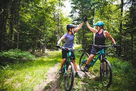 OaktonHSLib's tweet photo. In addition to keeping our minds active we are keeping physically active as well by walking (at a safe distance from others), biking, and birdwatching. We want to be at our best when we see students online soon!  How are you keeping active? https://t.co/LkdtWuGA6U