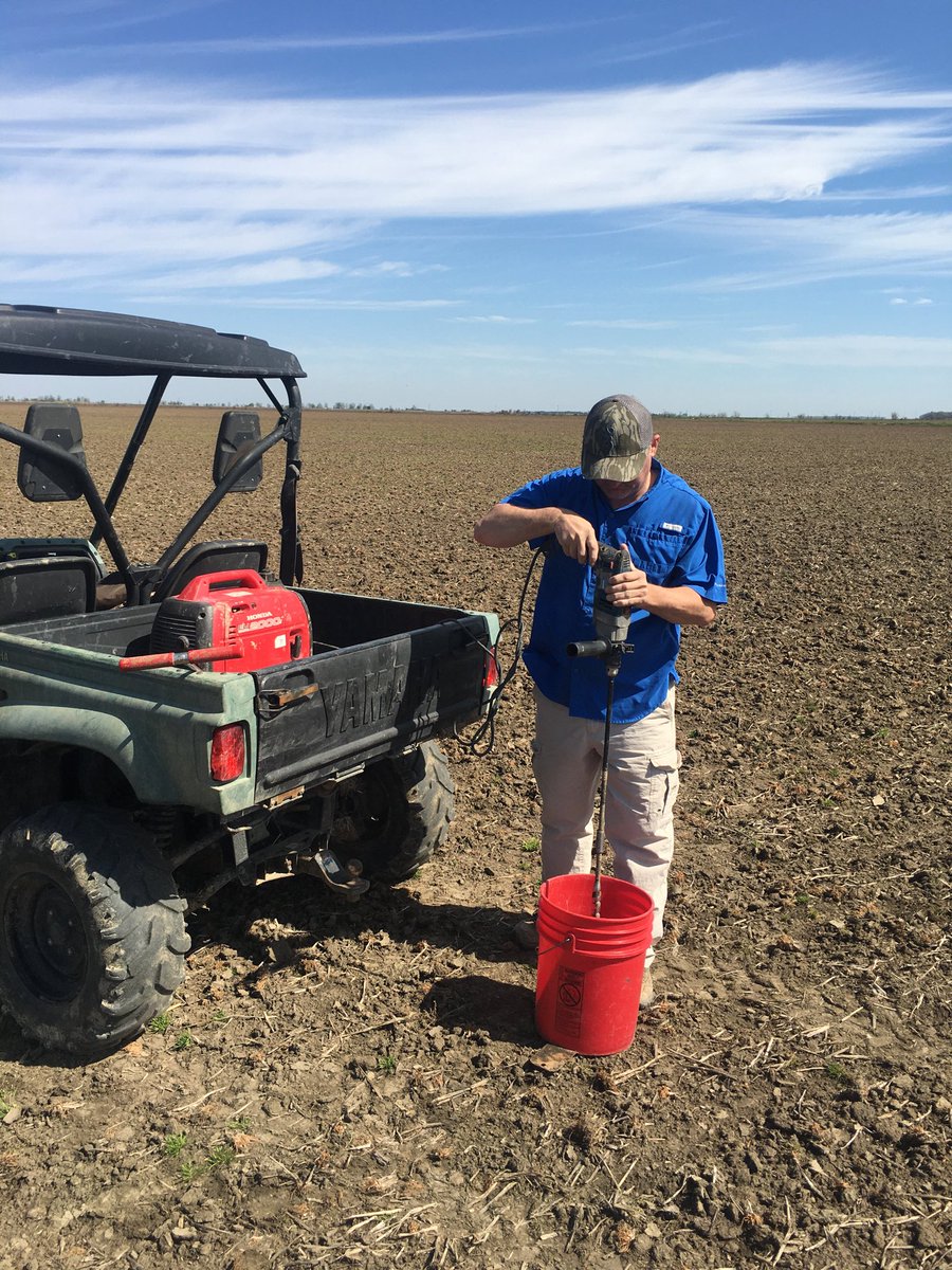 rmazzanti's tweet photo. Mississippi County Agent Shawn Lancaster pulling N-STaR samples while sun shines.
#StillOnTheJob ⁦@JHardke⁩ ⁦@UARK_SoilTest⁩ ⁦@AgWriterArk⁩ ⁦@MissCoAg⁩ https://t.co/13izViJrGh