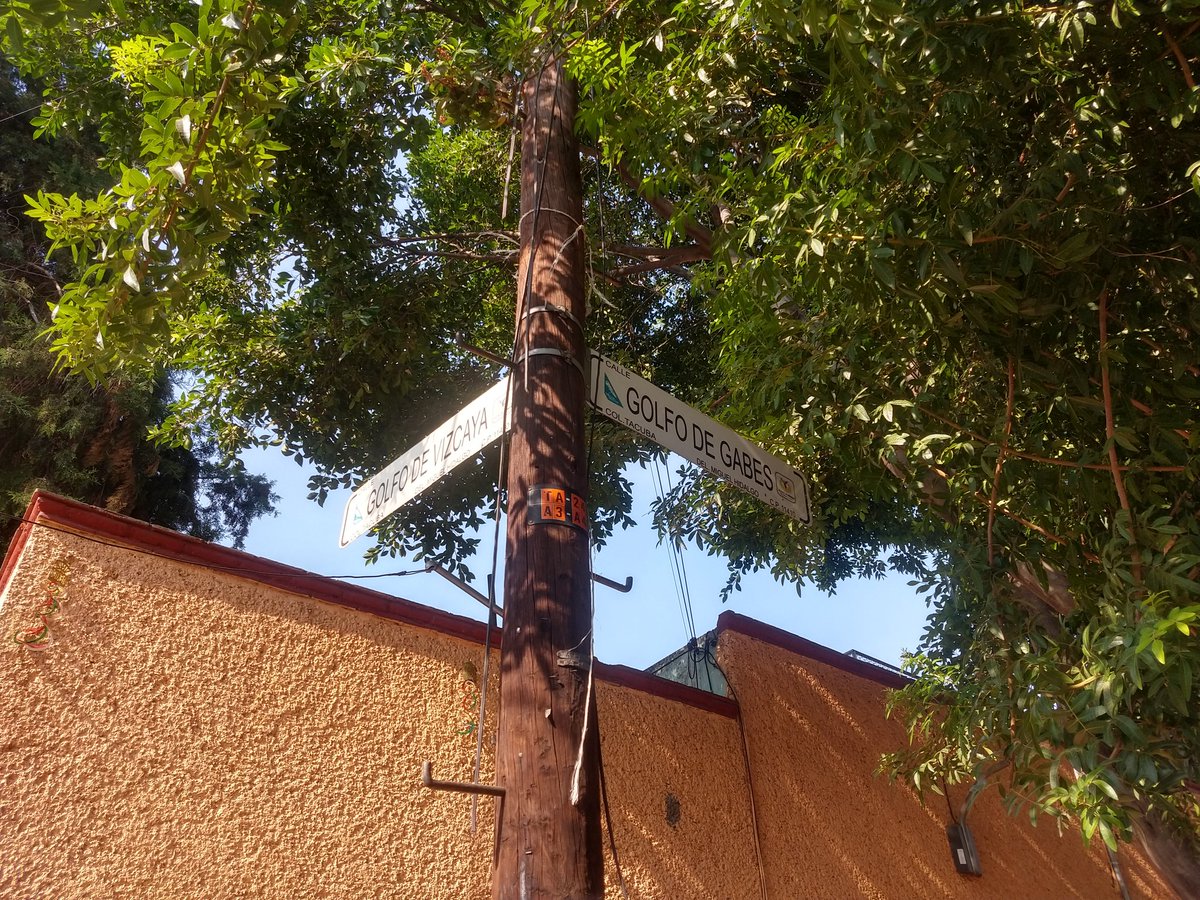 TacubaCDMX's tweet photo. ¿Y esto quién lo permitió? 
@AlcaldiaMHmx  @vromog 
@PAOTmx @UCS_GCDMX 
Será que por la situación que vivimos está permitido hacer lo que quiera porque el gobierno esta ausente https://t.co/zizEFUCRBB