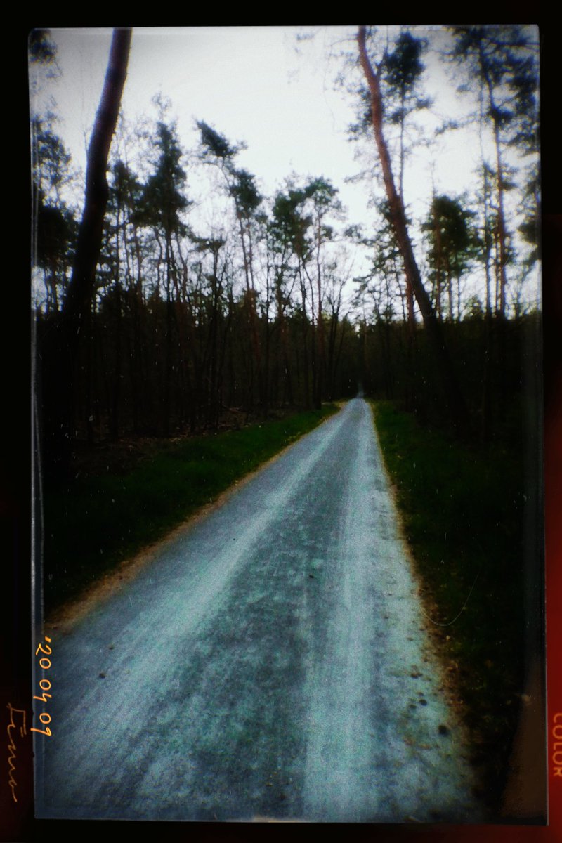 MrBensonMum's tweet photo. Well we know where we're going
But we don't know where we've been[...]
             - Talking Heads

👋✌️🤗
#sayfit https://t.co/OHD0S0BSCB